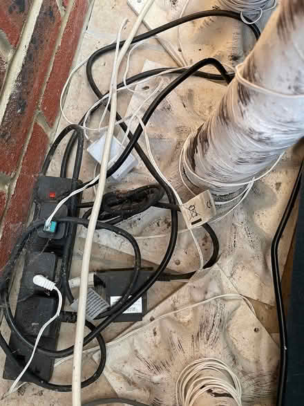 Photo of free LED light up birch twig trees (Bicester East OX26) #4