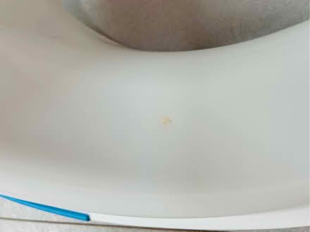 Photo of free Toddler Toilet Seat Cover (Highworth SN6) #3