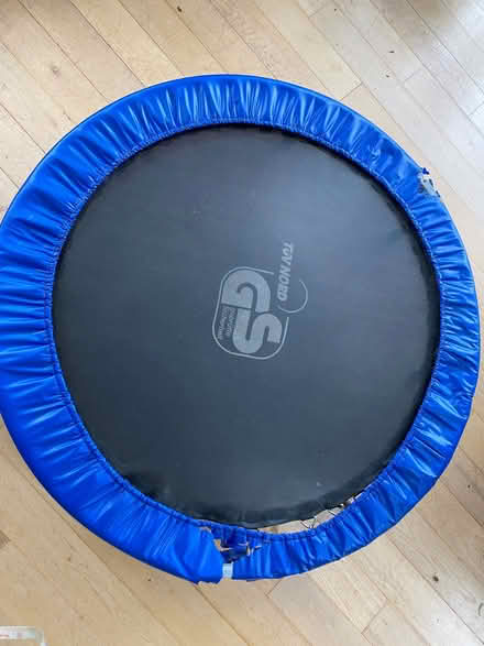 Photo of free Trampoline (West Felton SY11) #1