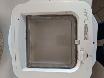 Photo of free Sureflat - cat flap - microchiped (Purley on Thames RG8) #1