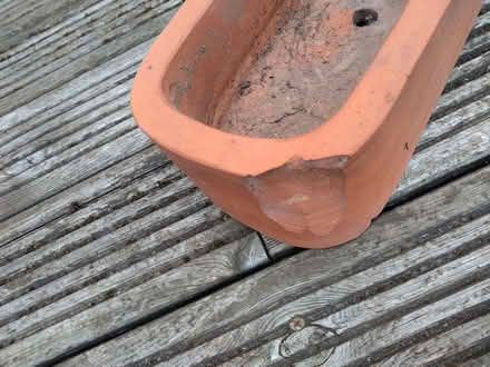 Photo of free 3 tier planter (Newent GL18) #4