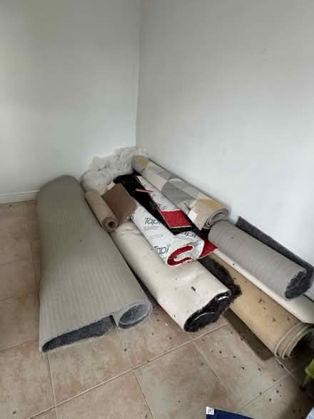 Photo of free Rugs/ carpet/ underlay (Brynamlwg, Pontyclun CF72) #1