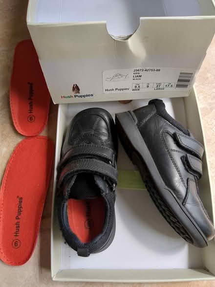 Photo of free School shoes (Prees Green) #1