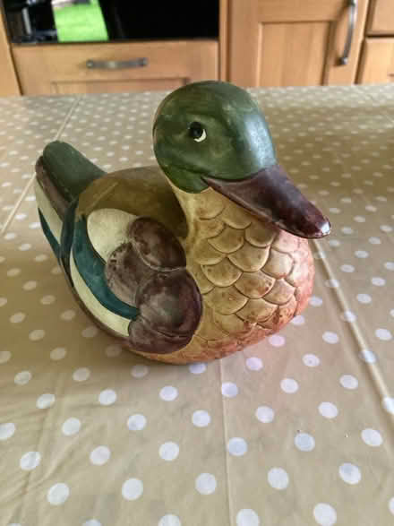 Photo of free Ornamental duck (Horwich BL6) #1