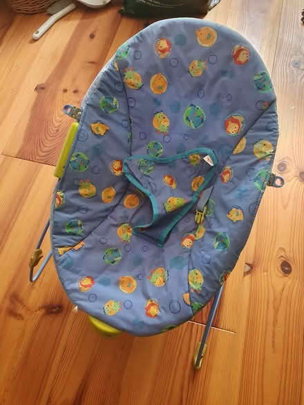 Photo of free Baby bouncer (Near eastville park BS16) #1