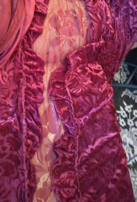 Photo of free Velvet Curtains (Tacoma) #2