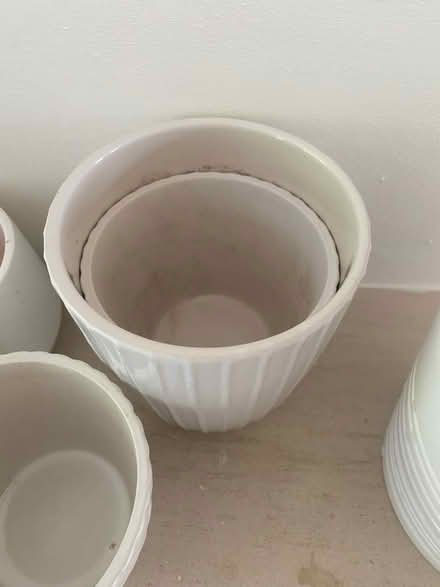 Photo of free White plant pots (GU14) #2