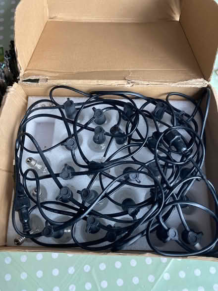 Photo of free Festoon light string (Greasby CH49) #1