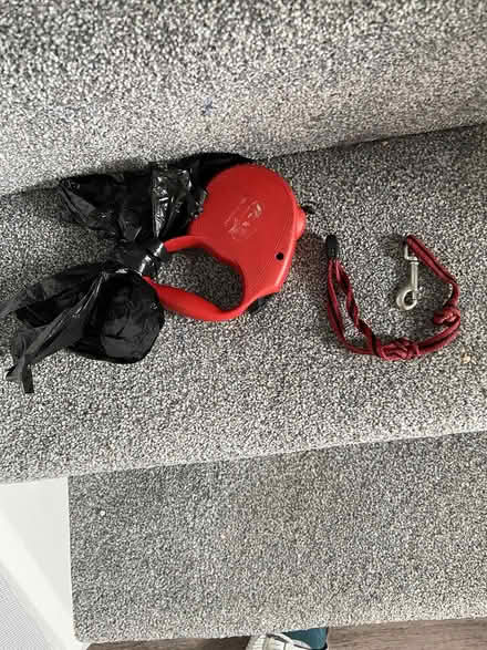 Photo of free Dog lead (Cromford DE4) #1