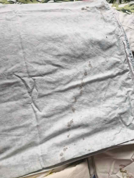 Photo of free Single bedding sets + (SK14) #3