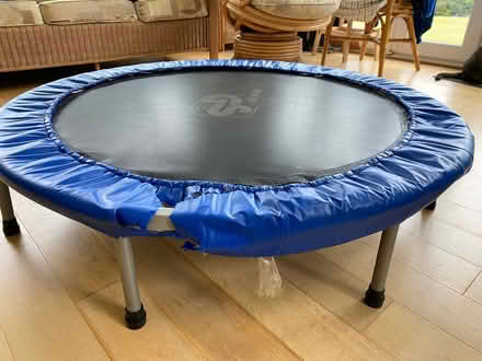 Photo of free Trampoline (West Felton SY11) #3