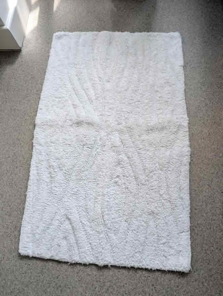 Photo of free Bathroom rug (CB2) #1