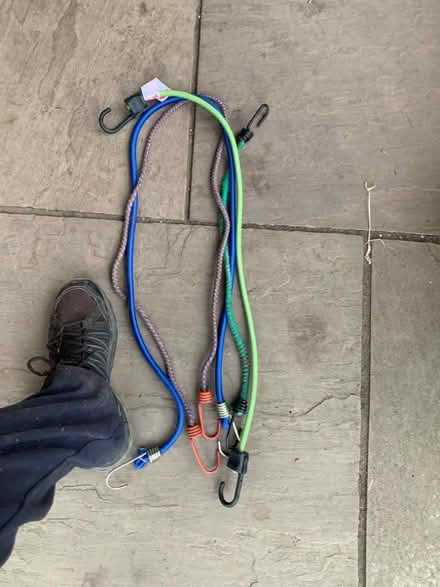 Photo of free Bungee cords (Malvern Link WR14) #1
