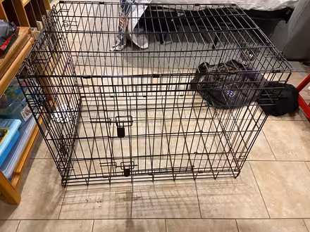 Photo of free Dog crate (NE DC 20018) #1