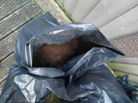 Photo of free garden soil bagged (Pilgrims Hatch CM15) #4