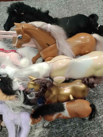 Photo of free Horses galore (Nailsea BS48) #1