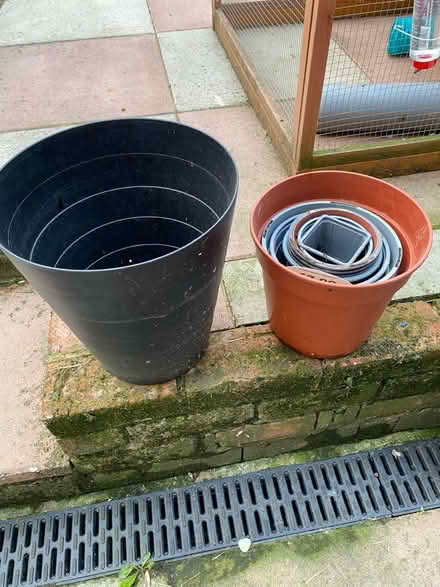 Photo of free Plant pots (Southborough TN4) #2