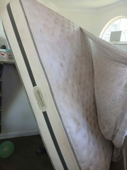 Photo of free Colcho kig y un tostador bueno (548 alden st) #2