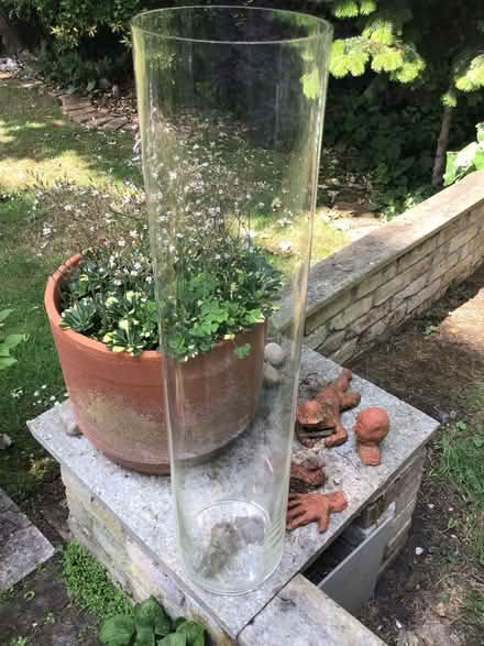 Photo of free Large glass tubular vase/container (Great Wakering Essex SS3) #1