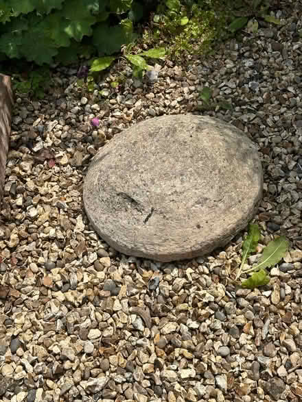 Photo of free Capstone (Kidlington OX5) #1