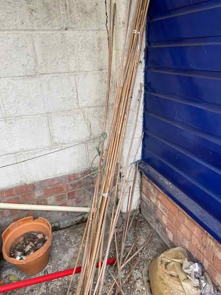 Photo of free Garden canes (Parkstone BH12) #1