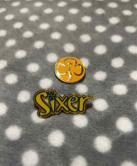 Photo of free Girl guiding/ brownies pin badges (Jennetts park RG12) #1