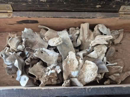 Photo of free Lead (ME1) #1