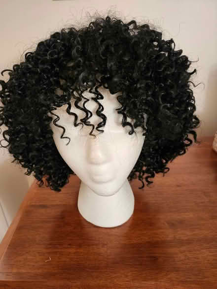 Photo of free curly black wig (SE Washington DC) #1