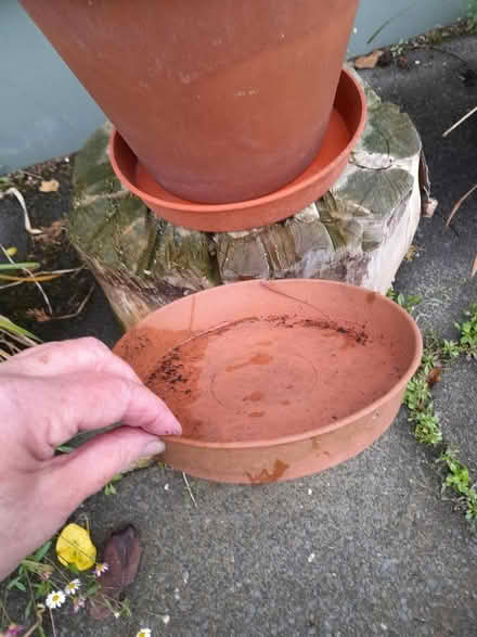Photo of Saucers for plant pots. (BT30) #1