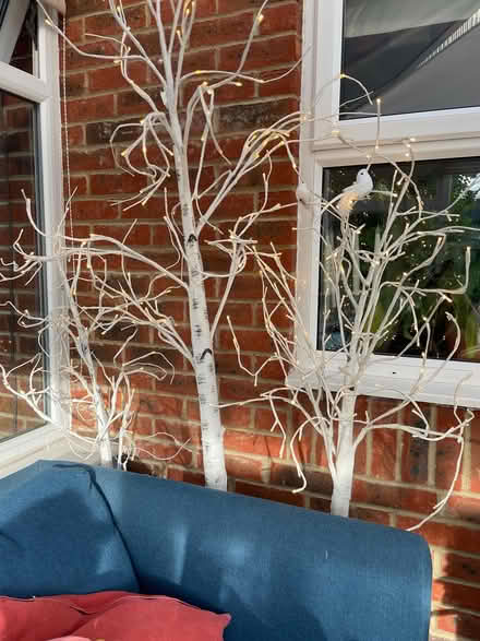 Photo of free LED light up birch twig trees (Bicester East OX26) #2