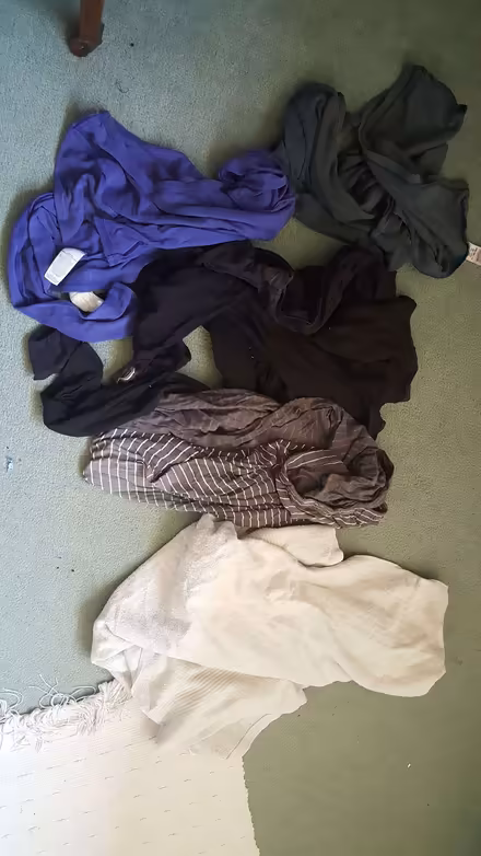 Photo of free rag (New Greens AL3) #1
