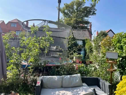 Photo of free Large trampoline (St Anne's on the Sea FY8) #3
