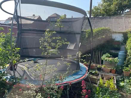 Photo of free Large trampoline (St Anne's on the Sea FY8) #4
