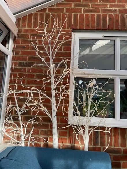 Photo of free LED light up birch twig trees (Bicester East OX26) #1