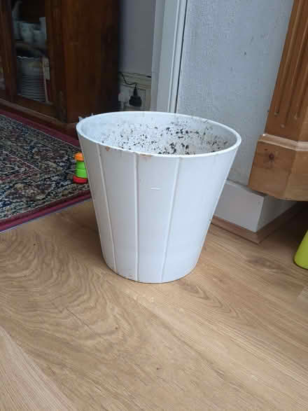 Photo of free Plant pot (Sevenoaks TN13) #1