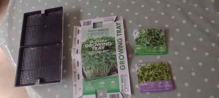 Photo of free Tray for growing micro greens (Sherrard's Green WR14) #1