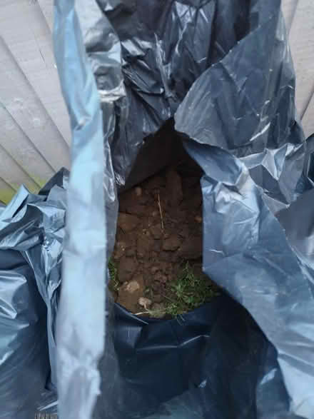 Photo of free garden soil bagged (Pilgrims Hatch CM15) #2