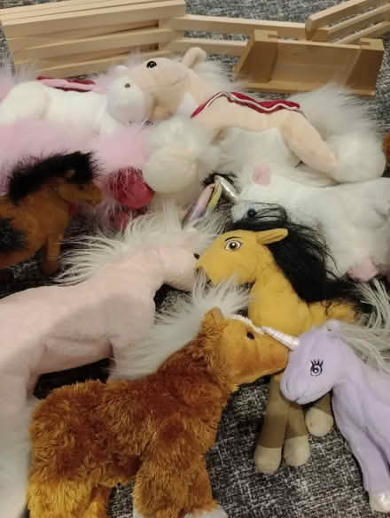 Photo of free Horses galore (Nailsea BS48) #3