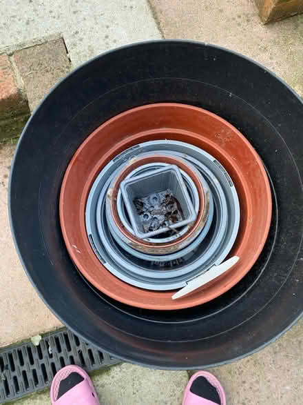 Photo of free Plant pots (Southborough TN4) #1
