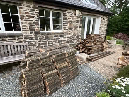 Photo of free Firewood/kindling (Near Spittal) #3