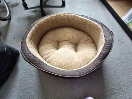 Photo of free Wainwright's Oval Dog Bed Medium (Letchworth SG6) #1