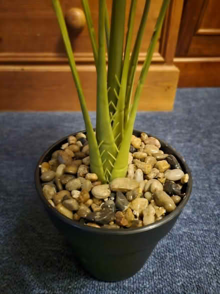 Photo of free Artificial plant (Kingsmead) #2