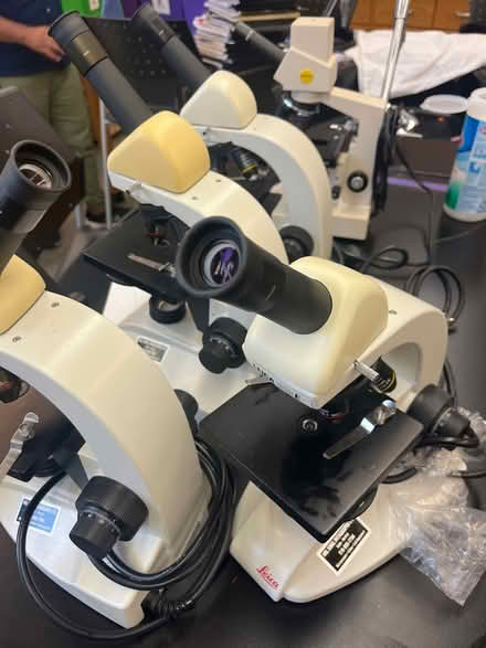 Photo of free 25 compound microscopes (Prospect Heights) #1