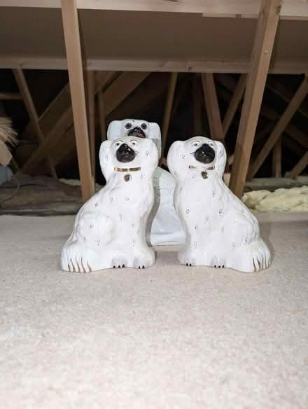 Photo of free Wally dugs x 3 (AB22) #2