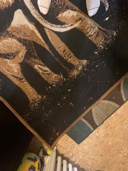 Photo of free Black and brown elephant rug (Brookland/Rhode Island Ave NE) #2