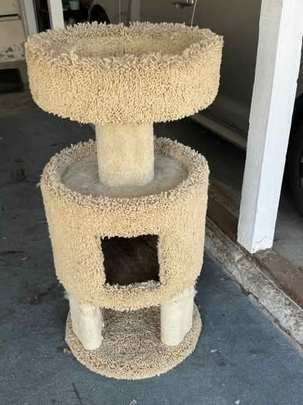 Photo of free Cat tree (Lake Merritt) #1