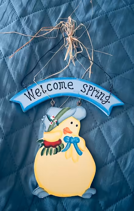 Photo of free Door or Wall Hanger (Erin Mills) #1