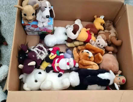 Photo of free Various soft toys (Purbrook) #1