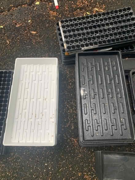 Photo of free Farm Seed Starting Trays and Domes (Cottageville, South Brunswick) #2