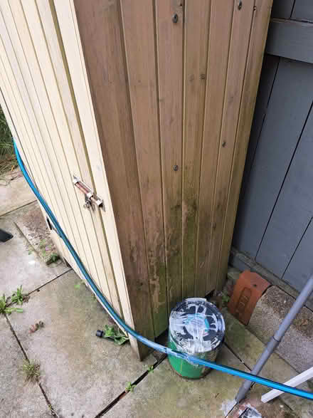 Photo of free Tall garden shed (L8 toxteth) #3